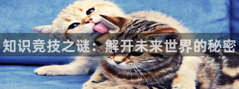 七猫免费阅读官方网页：知识竞技之谜：解开未来世界的秘密